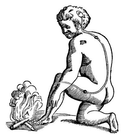 dolor y acupuntura por juan hahn 9
