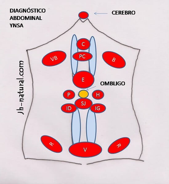Juan Hahn, acupuntura, YNSA craneopuntura de Yamamoto