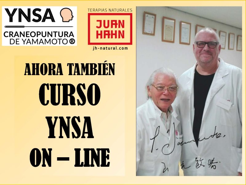 YNSA Craneopuntura de Yamamoto