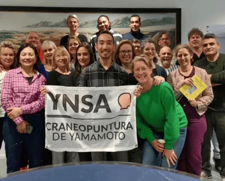 Curso YNSA