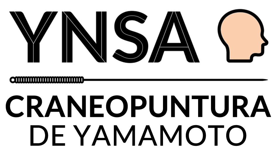 Logo YNSA