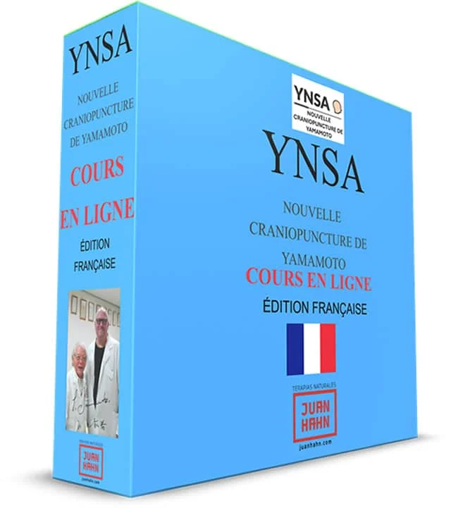Cours en ligne - Yamamoto Acupuncture