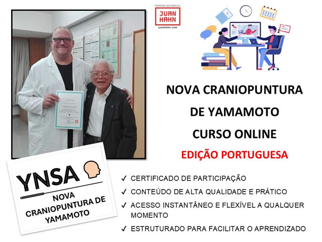 Curso Online YNSA - Imagem do link