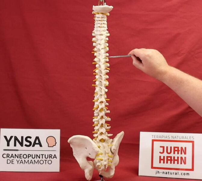 Curso Online YNSA - Imagen 03