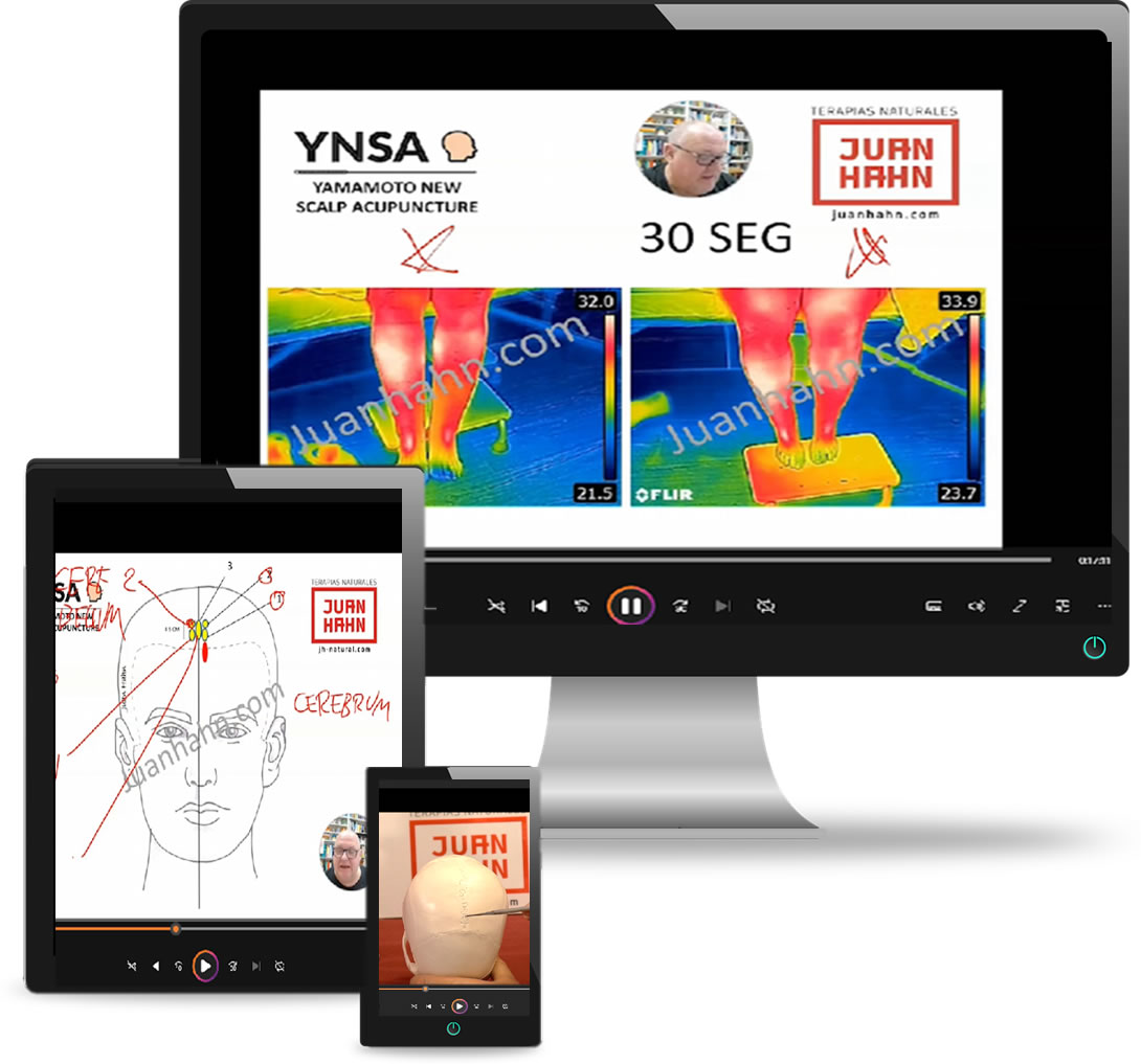 Curso Online YNSA - Imagen header