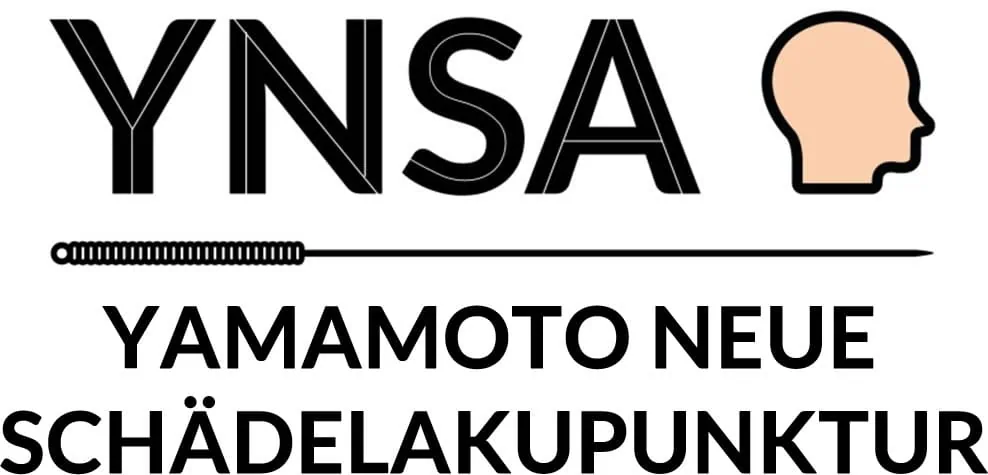 Logo YNSA DE