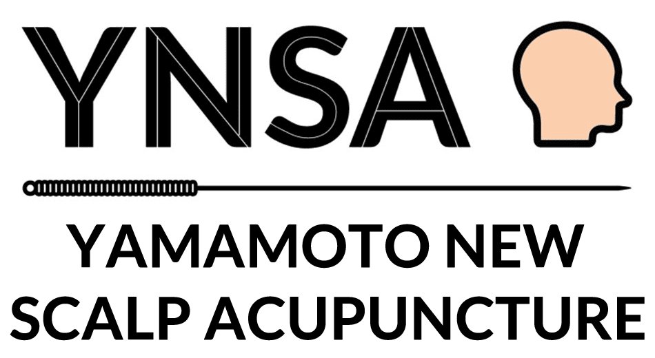 Logo YNSA EN