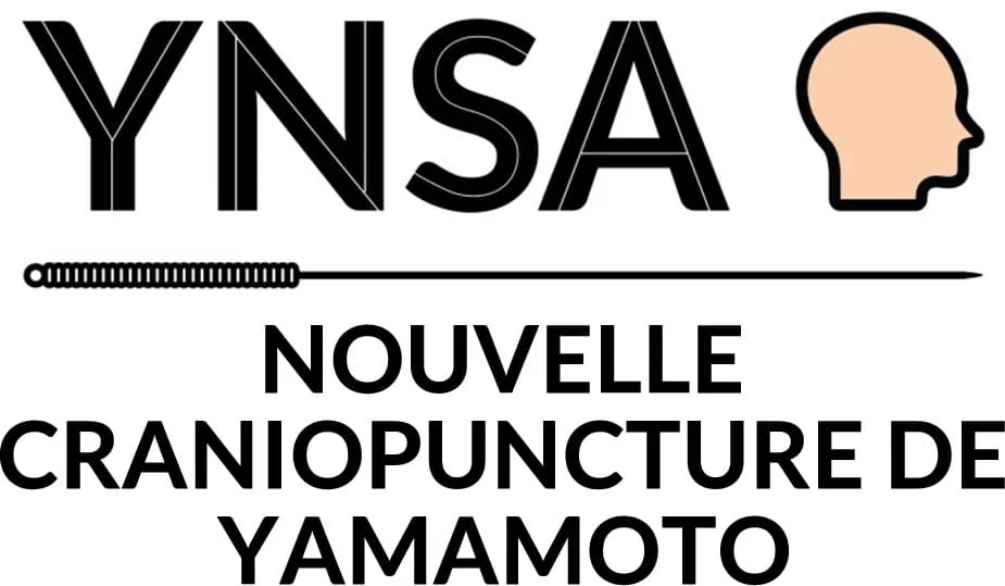 Logo YNSA FR