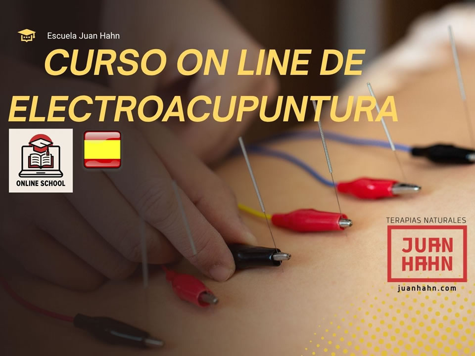 Electroacupuntura - Curso Online - Imagen menu