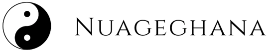 Logo Nuageghana