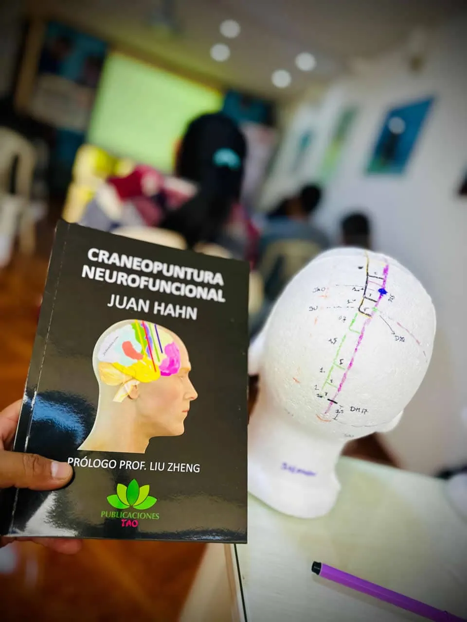Craneopuntura Neurofuncional - Imagen del curso 2