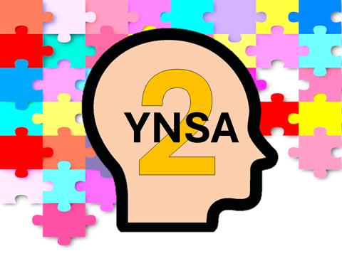 Icono Avances en YNSA Completando el Puzzle