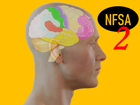 Icono Neurofunctional Scalp Acupuncture 2