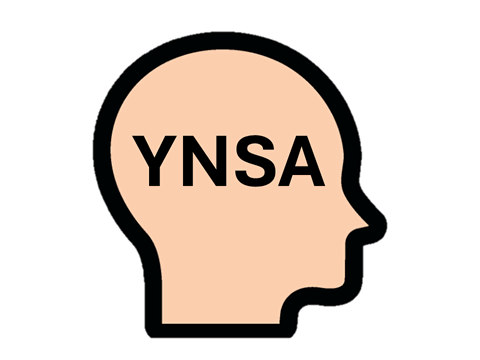 Icono YNSA Craneopuntura de Yamamoto