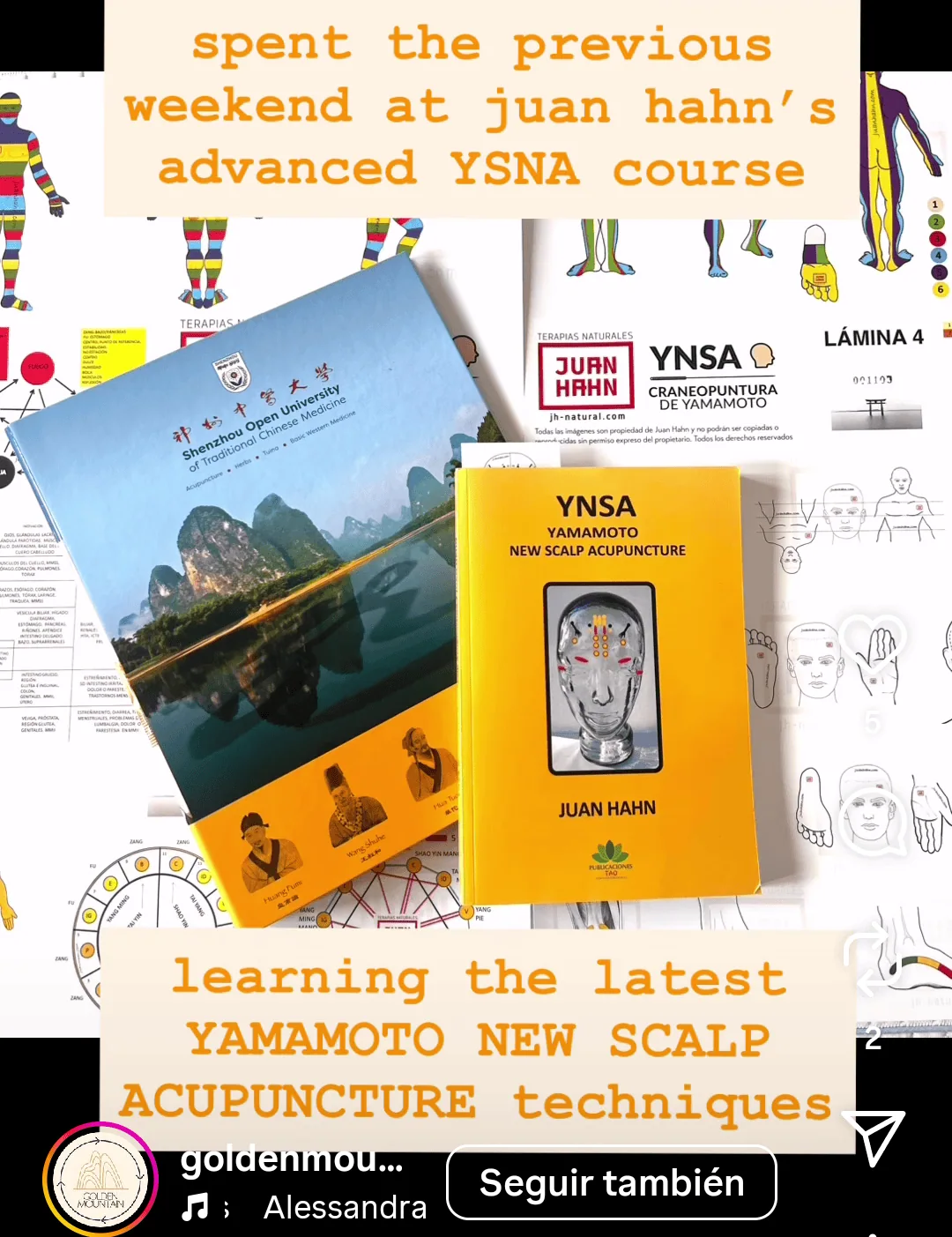 Learning the latest YAMAMOTO NEW SCALP ACUPUNCTURE techniques