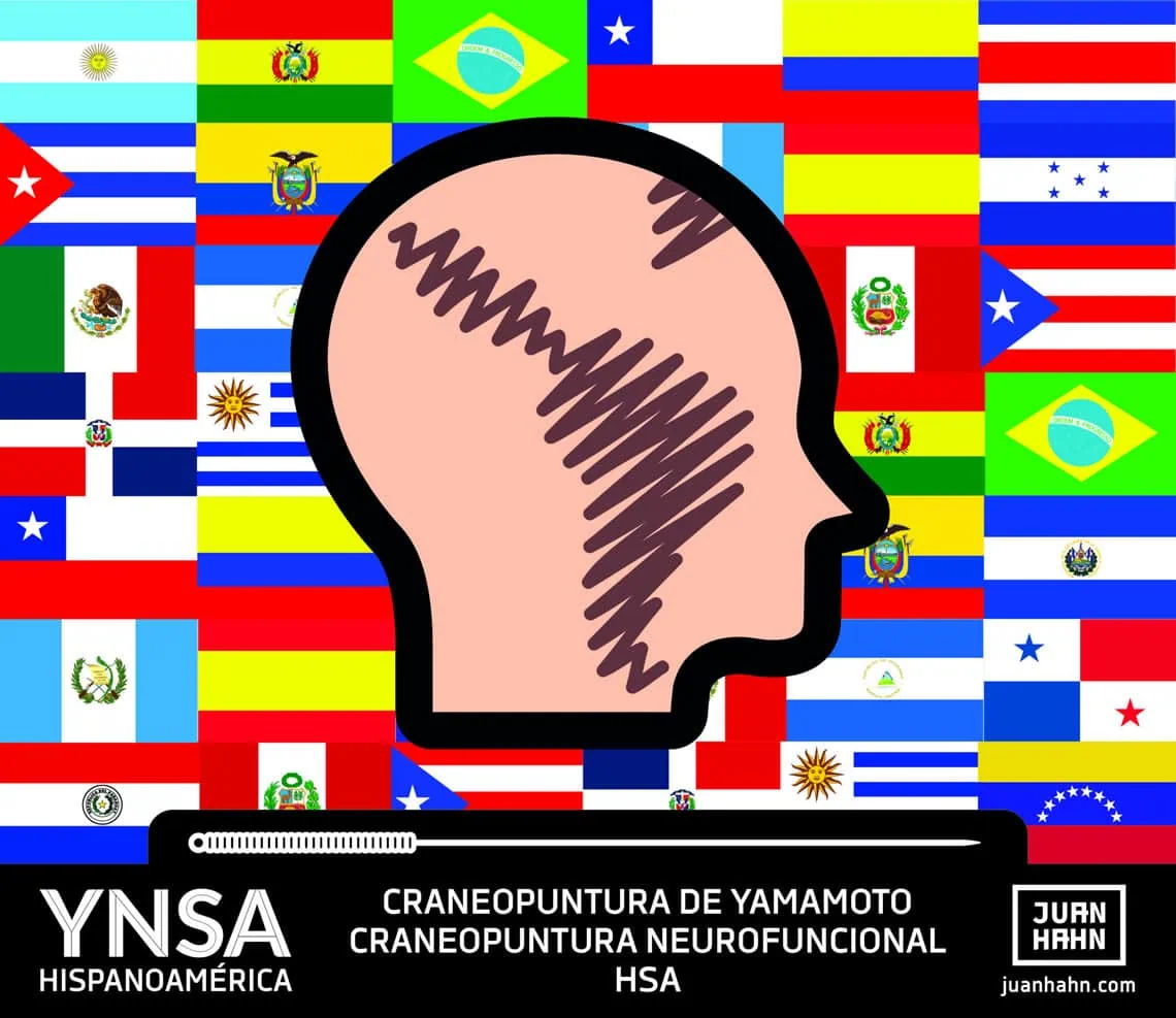 Logo YNSA Hispanoamérica