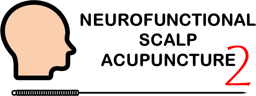 Neurofunctional Scalp Acupuncture 2 - Course Image header