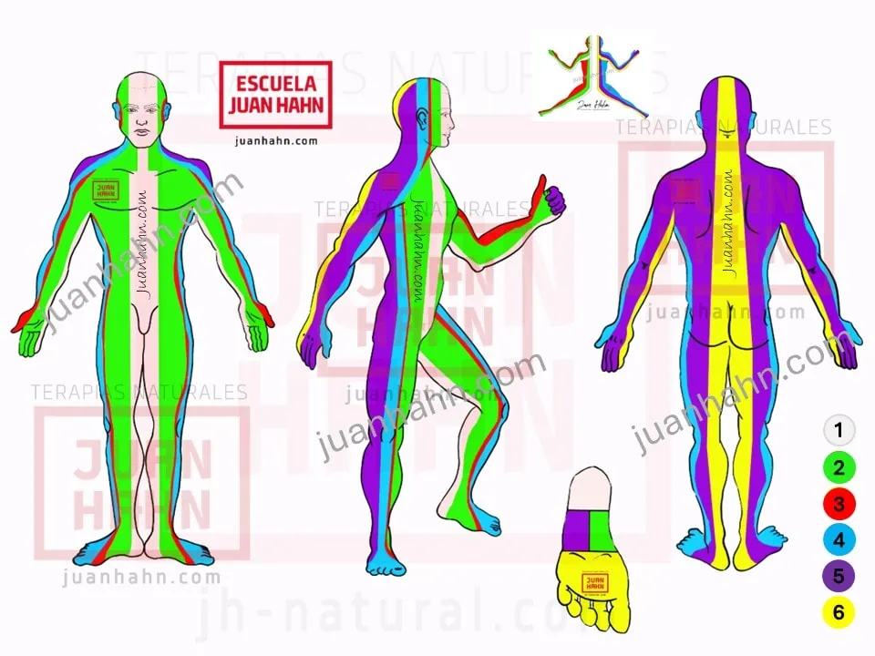 Acupuntura de muñecas y tobillos - Artículo Blog- Imagen 1