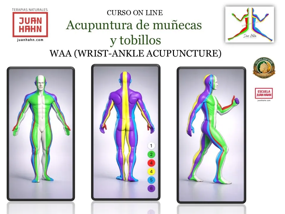 Acupuntura de muñecas y tobillos - Artículo Blog- Imagen 4