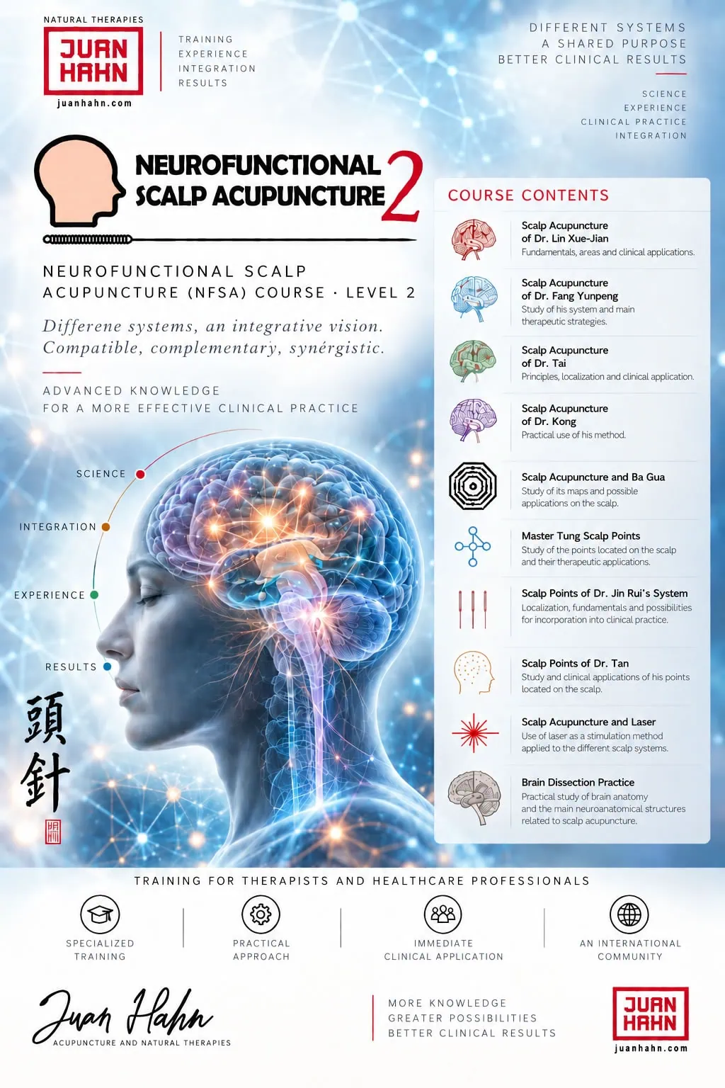 NFSA Neurofunctional Scalp Acupuncture 2. LIN FANG TAI KONG TUNG JIN RUI TAN LASER